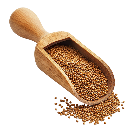 Millet Grain