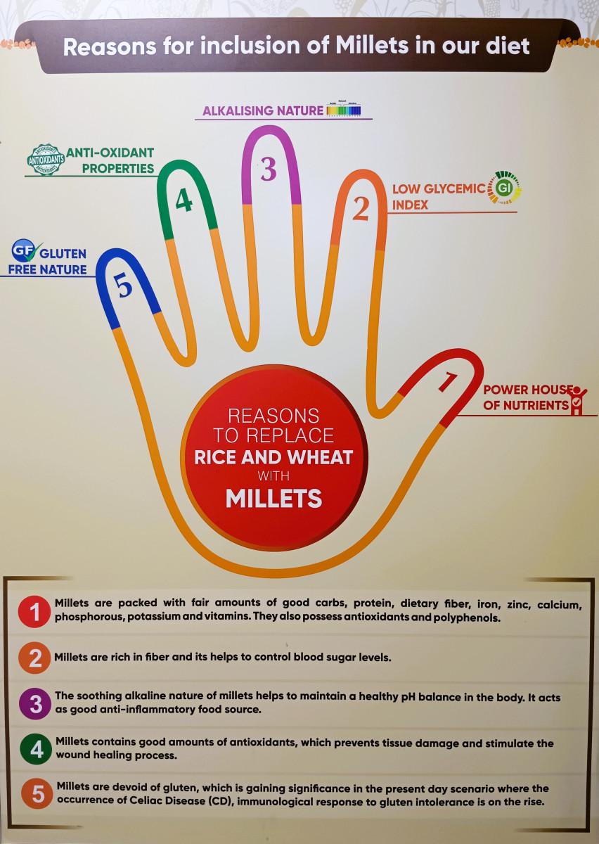 Five key health benefits that make millets a strong alternative to rice and wheat.