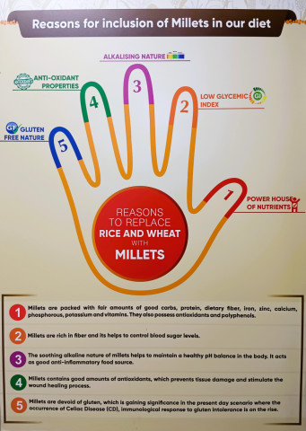 Five key health benefits that make millets a strong alternative to rice and wheat.