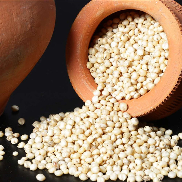 Sorghum Millet